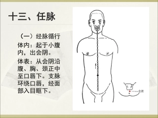 任脉督脉教程PPT培训课件