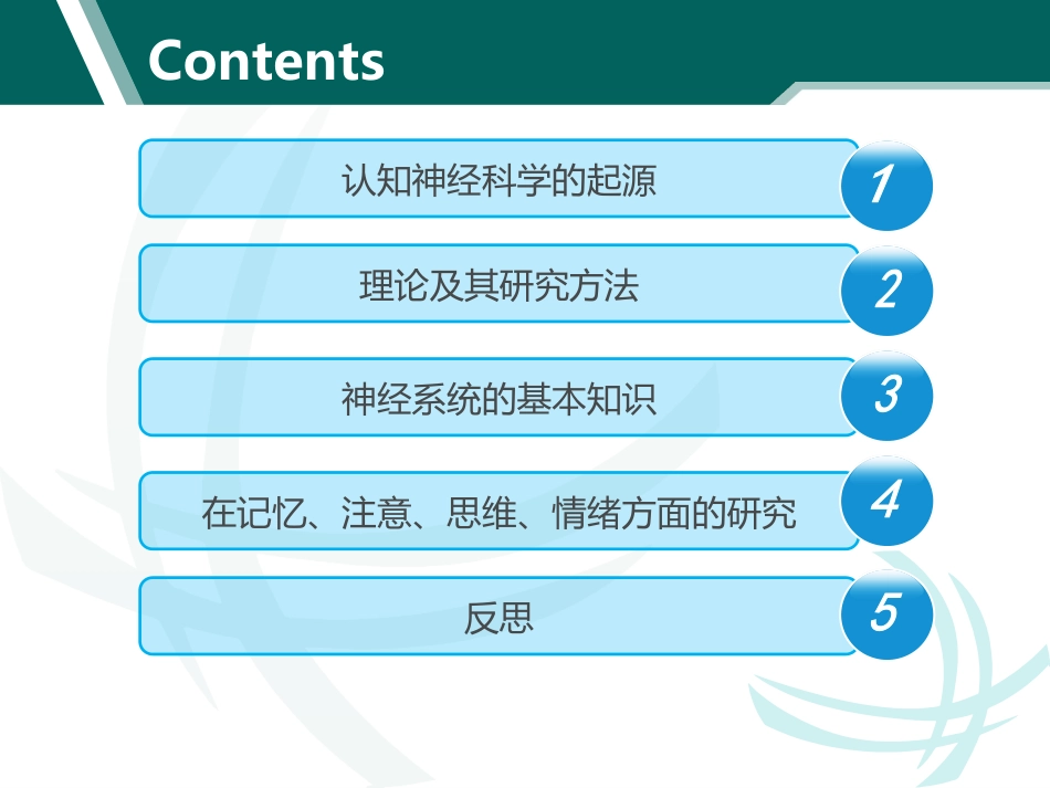 认知神经科学PPT培训课件_第3页