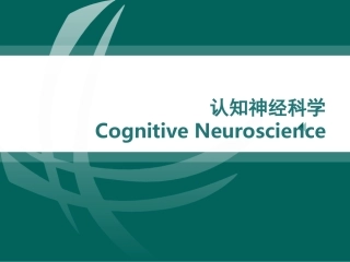 认知神经科学PPT培训课件