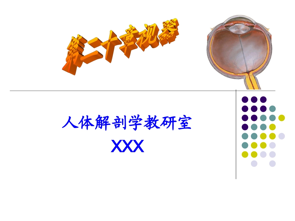 人体解剖学视器PPT培训课件_第1页