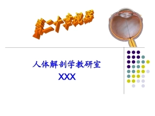 人体解剖学视器PPT培训课件