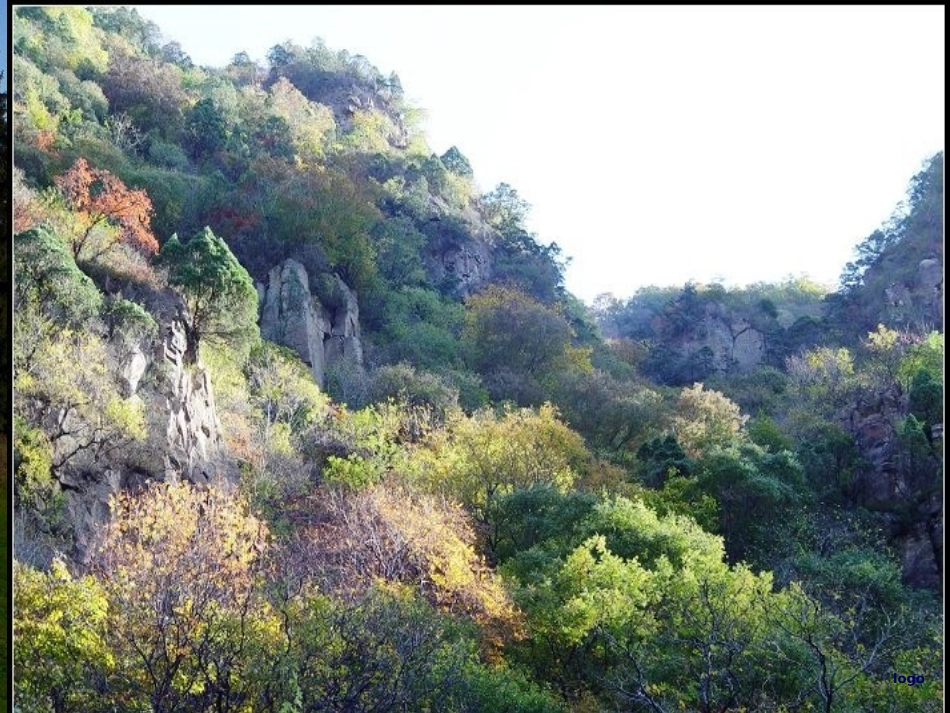 人体解剖学脑干PPT培训课件_第2页