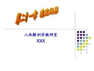 人体解剖学耳PPT培训课件