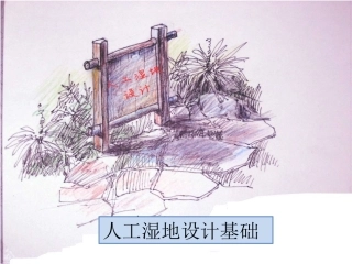 人工湿地设计PPT培训课件