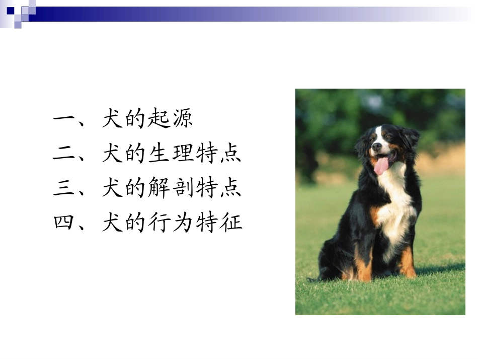 犬的生物学特性PPT培训课件_第2页