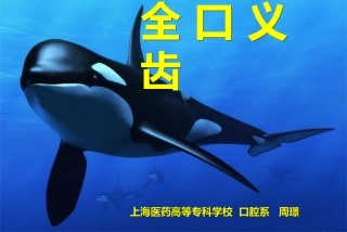 全口义齿汇总PPT培训课件