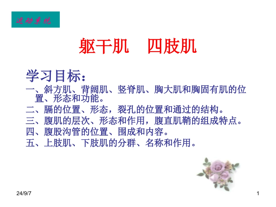 躯干肌四肢肌PPT培训课件_第1页