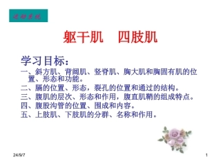 躯干肌四肢肌PPT培训课件