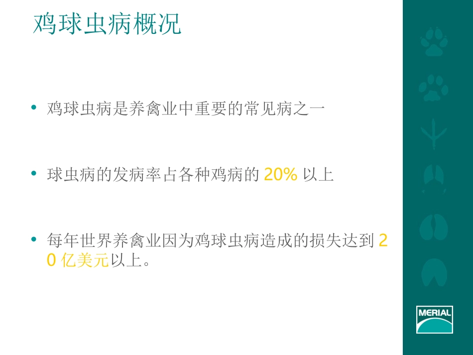 球虫病及其免疫PPT培训课件_第2页