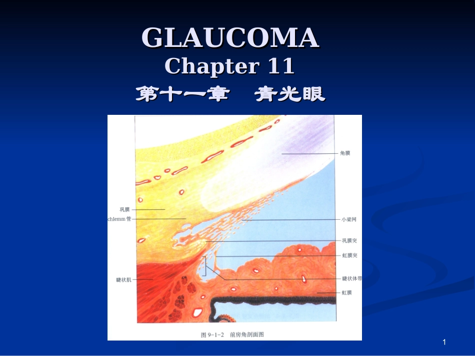 青光眼中英文版PPT培训课件_第1页