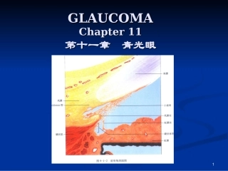 青光眼中英文版PPT培训课件