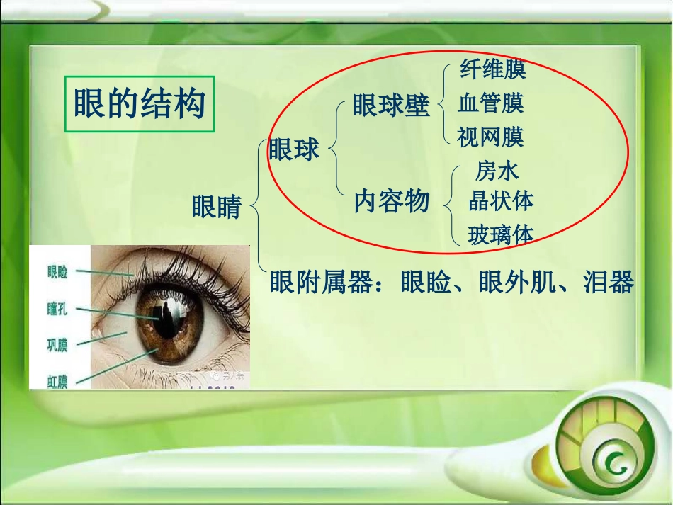 青光眼的护理PPT培训课件_第3页