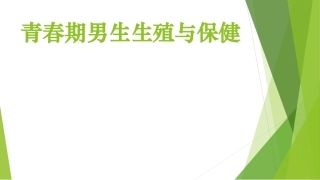 青春期性教育男PPT培训课件