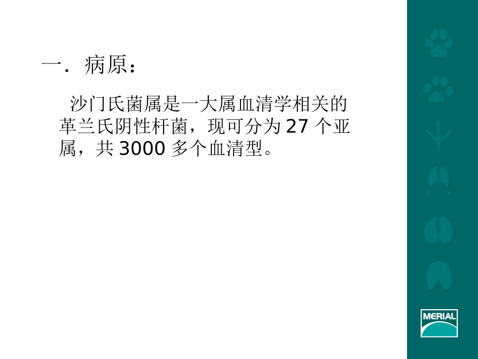 禽沙门氏菌病PPT培训课件_第2页