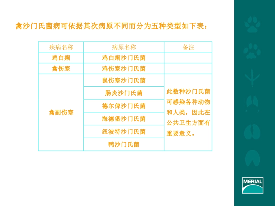 禽沙门氏菌病PPT培训课件_第3页