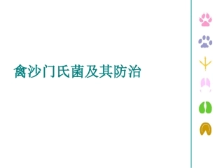 禽沙门氏菌病PPT培训课件
