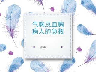 气胸病人的护理PPT培训课件