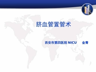 脐血管置管术PPT培训课件