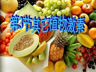 其他植物激素PPT培训课件