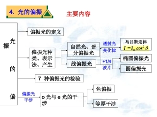 偏振光的定义PPT培训课件