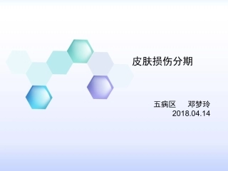 皮肤损伤分期PPT培训课件