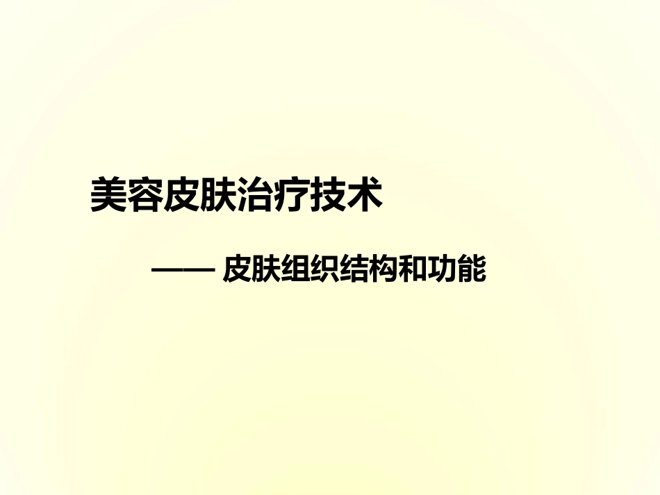 皮肤结构与功能PPT培训课件_第1页