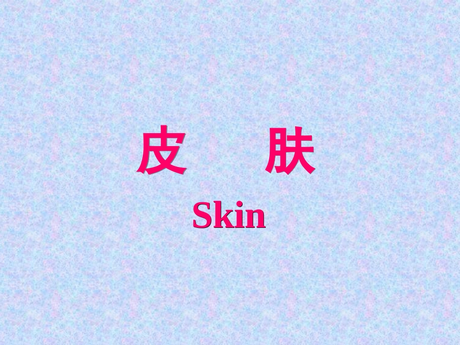 皮肤教学课件PPT培训课件_第1页