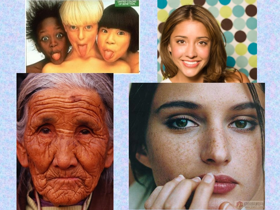 皮肤教学课件PPT培训课件_第2页