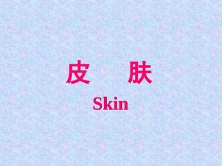 皮肤教学课件PPT培训课件