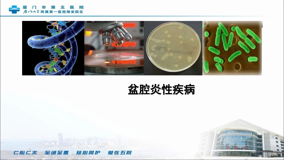 盆腔炎性疾病PPT培训课件_第2页