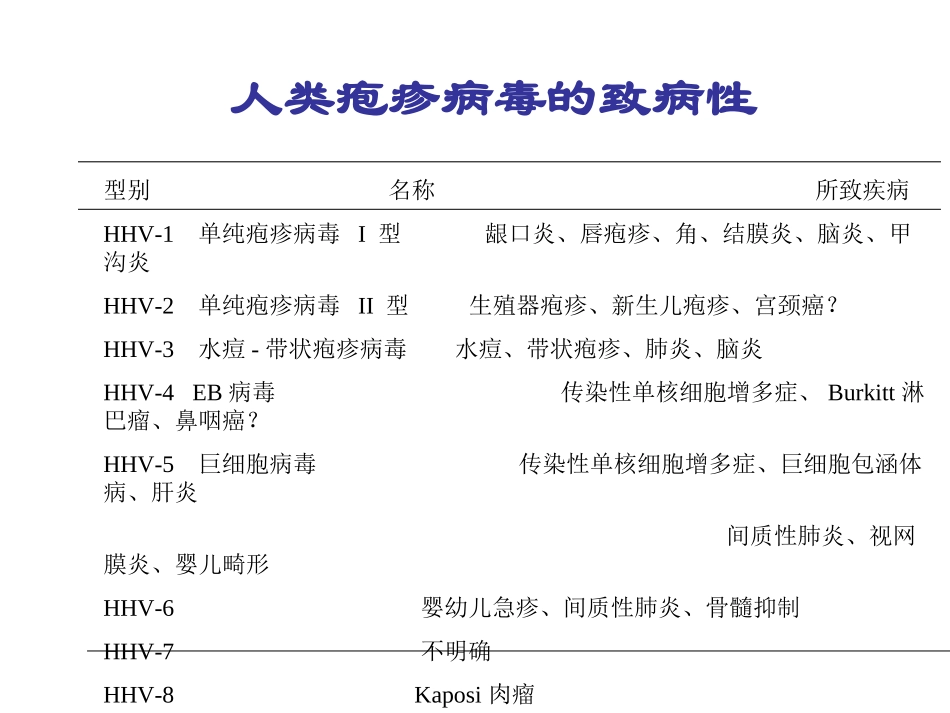 疱疹病毒完整版PPT培训课件_第3页