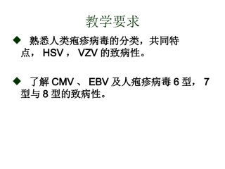 疱疹病毒完整版PPT培训课件
