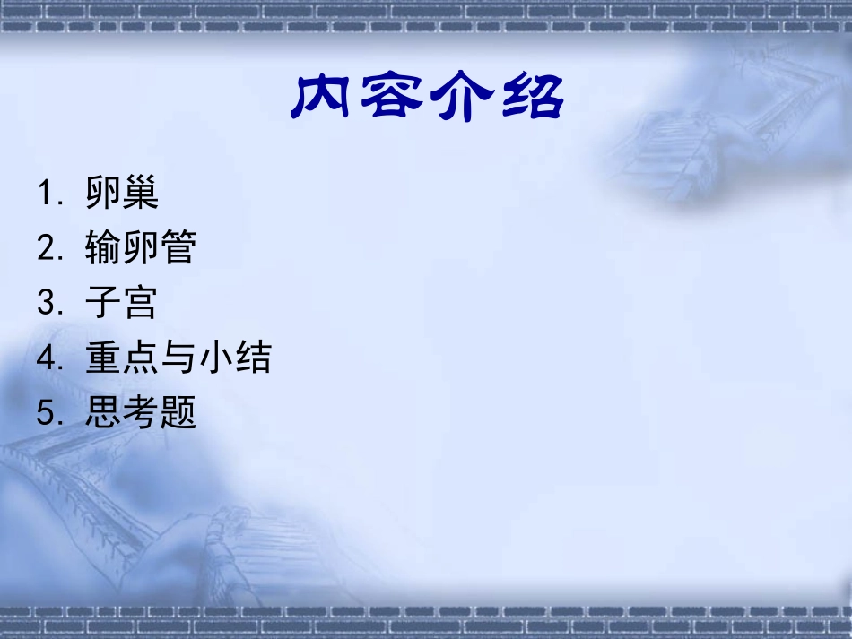 女性生殖系统PPT培训课件_第2页