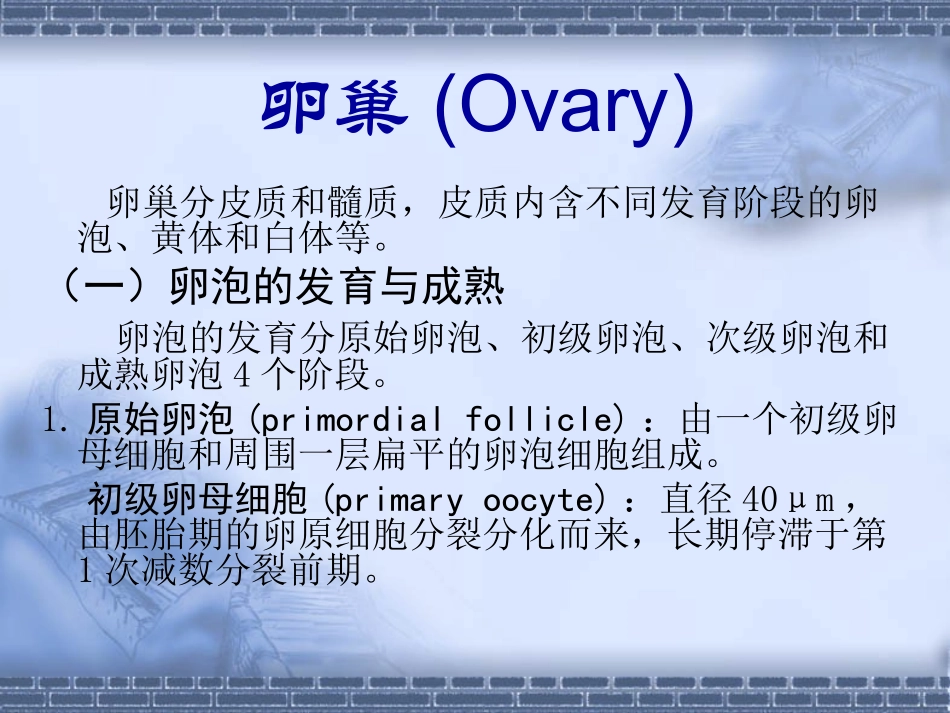 女性生殖系统PPT培训课件_第3页