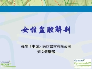 女性盆腔解剖PPT培训课件