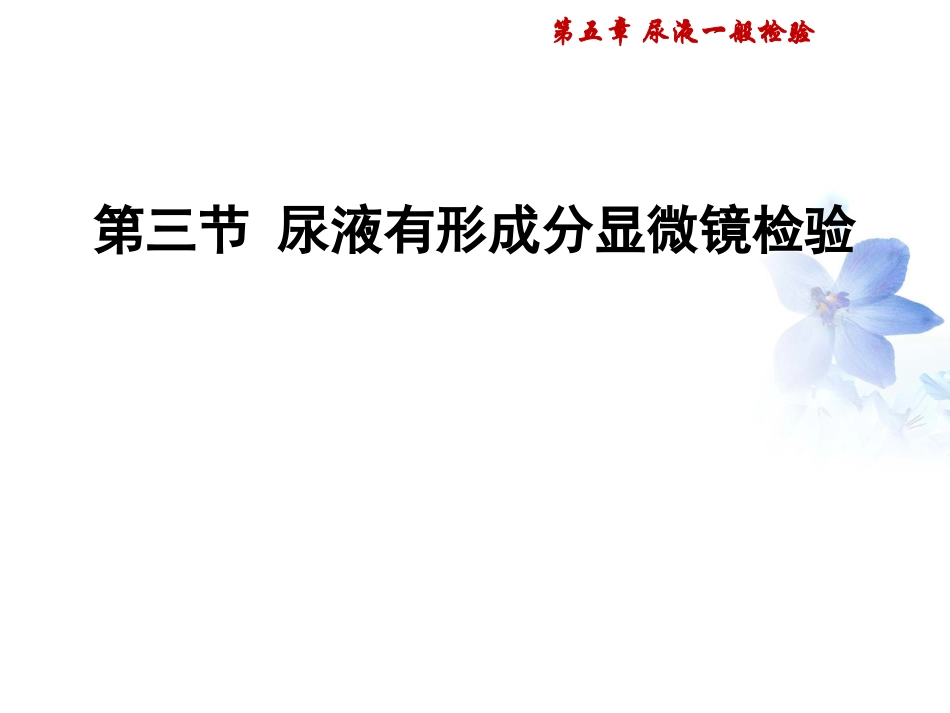 尿液显微镜检查PPT培训课件_第3页