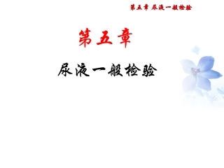 尿液显微镜检查PPT培训课件