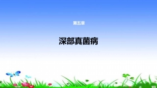 念珠菌病汇总PPT培训课件