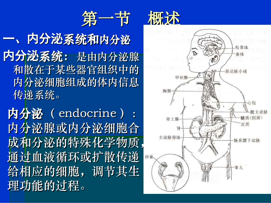内分泌生理讲解PPT培训课件_第2页