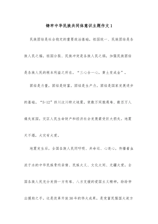 (13篇)铸牢中华民族共同体意识主题作文