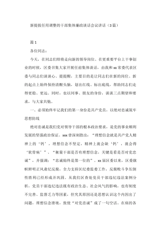 3篇新提拔任用调整的干部集体廉政谈话会议讲话