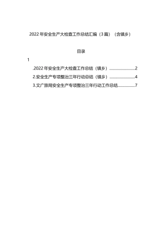 2022年安全生产大检查工作总结汇编（3篇）（含镇乡）