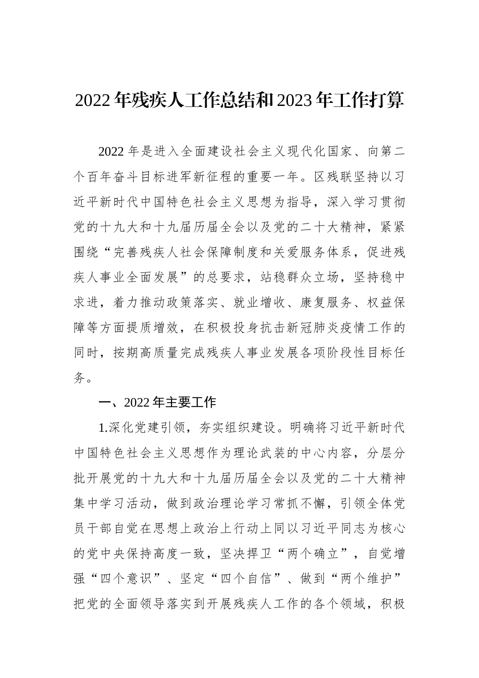2022年残疾人工作总结和2023年工作打算汇编（5篇）_第2页