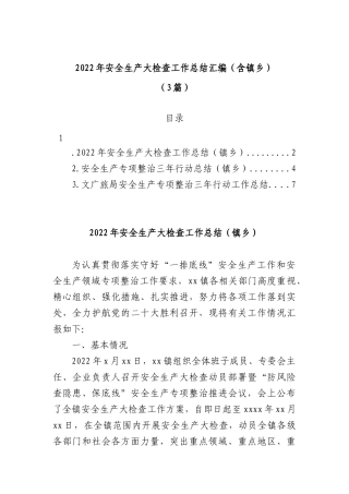 2022年安全生产大检查工作总结汇编（含镇乡）（3篇）