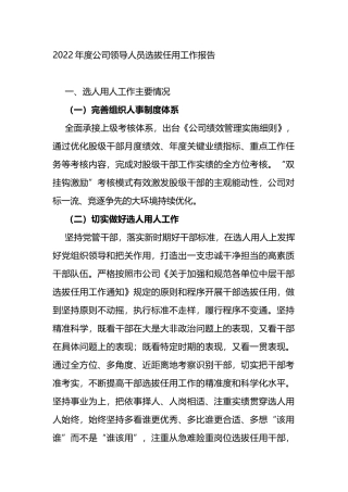 2022年度公司领导人员选拔任用工作报告