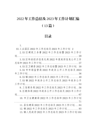 2022年工作总结及2023年工作计划汇编（13篇）区卫健委