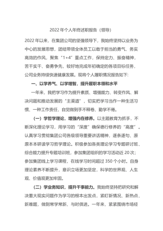 2022年领导个人年终述职报告