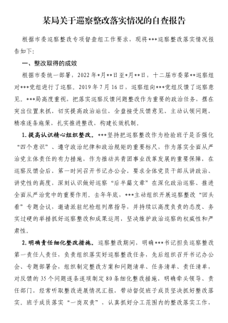某局关于巡察整改落实情况的自查报告