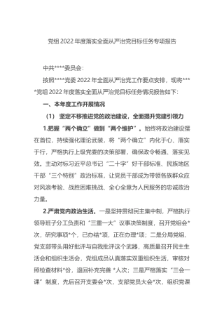 党组2022年度落实全面从严治党目标任务专项报告