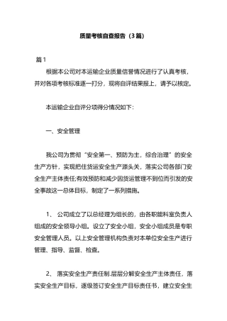 （3篇）质量考核自查报告